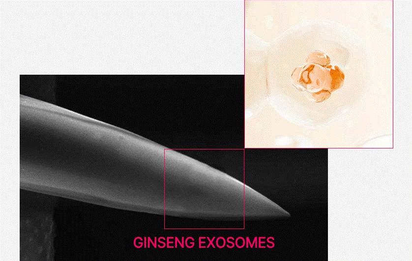 Damtone Pore Toning Acu Essence