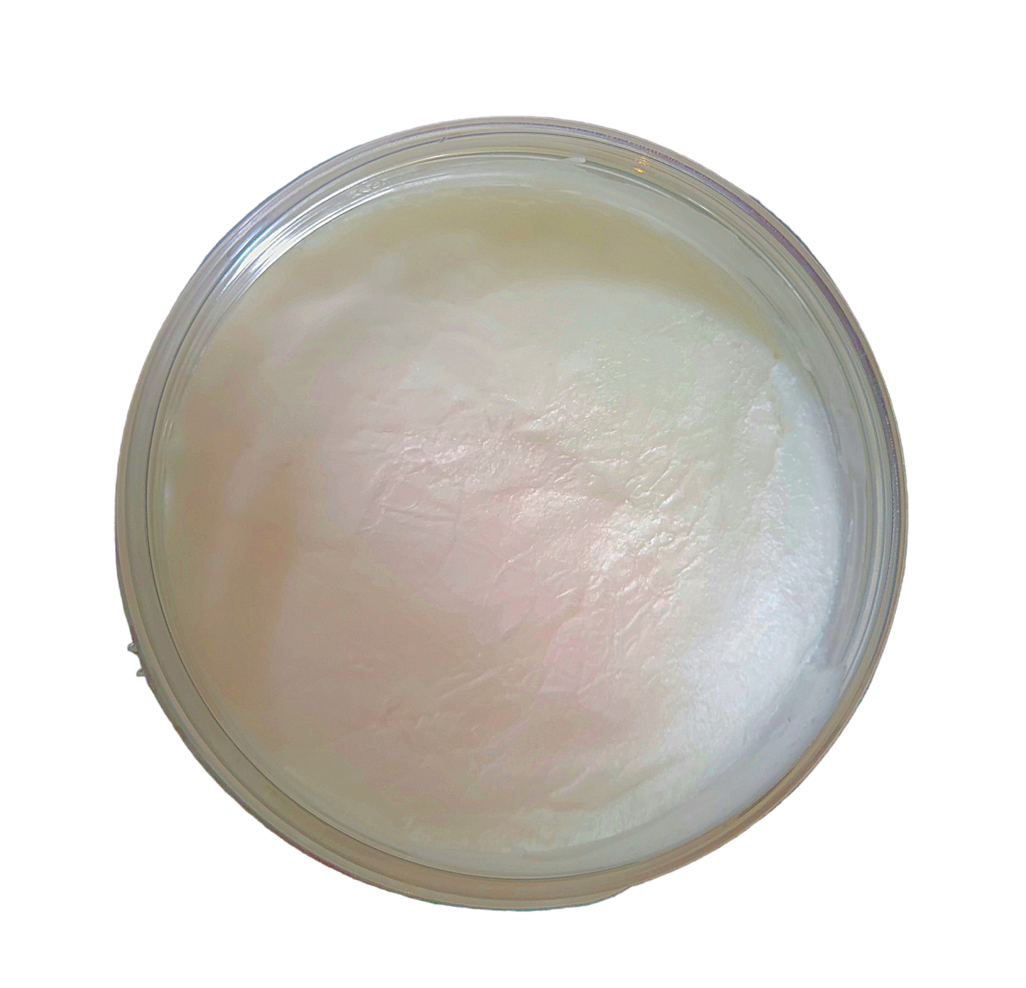 Glamfox Berries Whipped Foam Cleanser